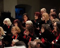 DSC07346 bearbeitet 1